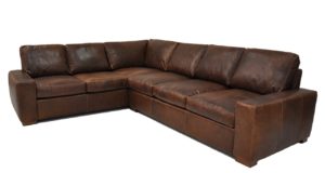 Max Sectional in Wilderness Chocolate